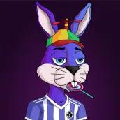Bunnies N Homies Club NFT collection Solana