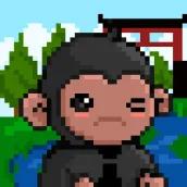 Chikara Chimps NFT collection Solana