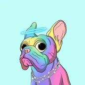 Fancy Frenchies NFT collection Solana