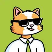 Suitcats NFT collection Solana
